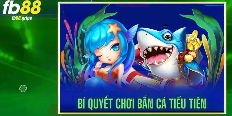 Nắm bắt chiến thuật nhận thưởng bắn cá tiểu tiên