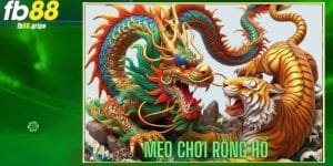 dd-meo-choi-rong-ho-fb88
