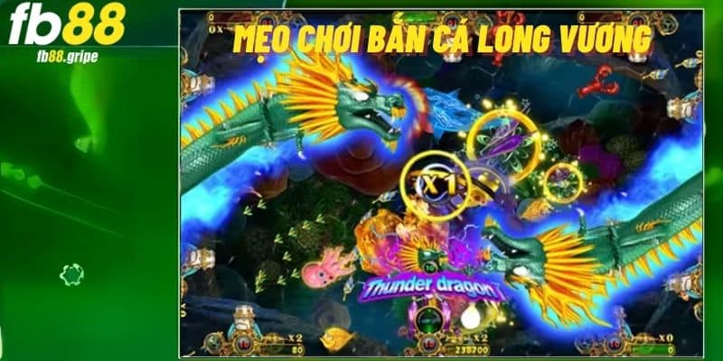Bật mí kinh nghiệm săn bắt cá mang về thưởng lớn