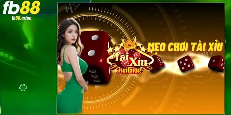 Đặt cược vào những con số cụ thể đầy hấp dẫn